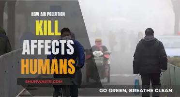 Air Pollution: A Slow, Silent Killer of Humans