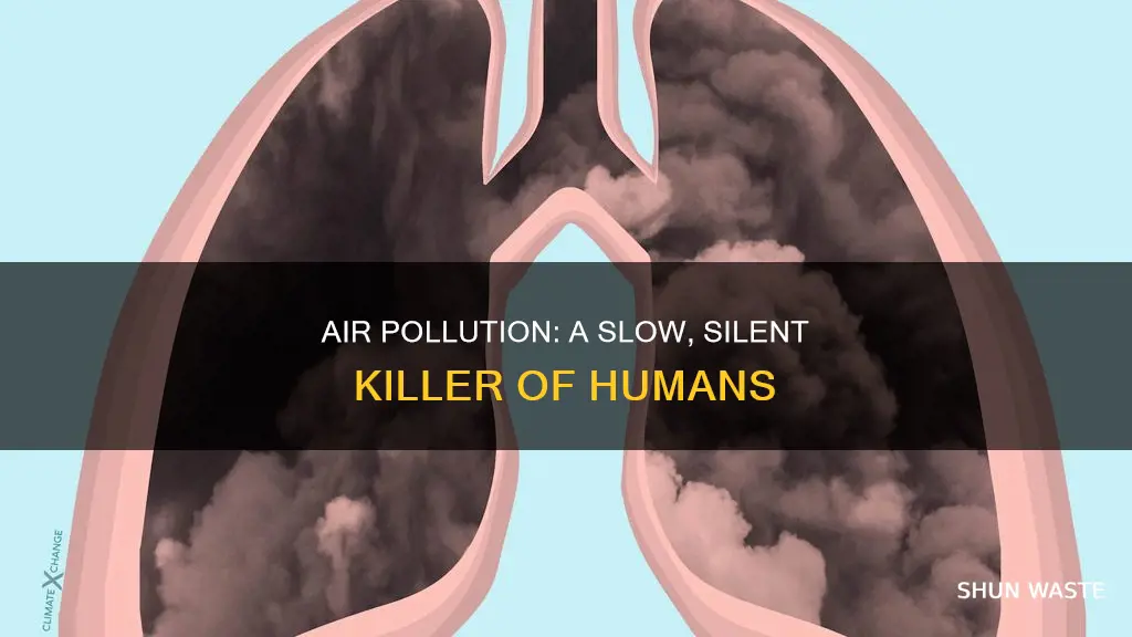 how air pollution kill affects humans