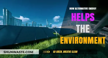 Sustainable Power: How Alternative Energy Protects Our Planet and Future