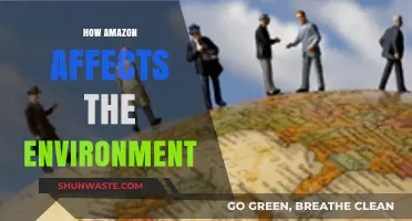Amazon's Environmental Impact: Unpacking the Giant's Ecological Footprint