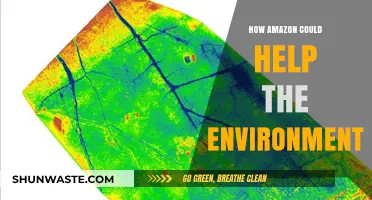 Amazon's Green Revolution: Sustainable Strategies to Protect Our Planet