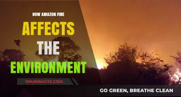 Amazon Ablaze: Devastating Environmental Impacts of the Rainforest's Fiery Destruction