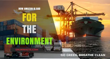Amazon's Environmental Impact: Unpacking the Hidden Costs of Convenience