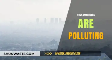 Americans Pollute: The Ugly Truth