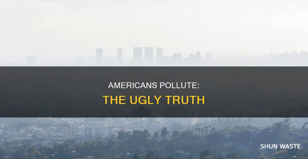 how americans are polluting