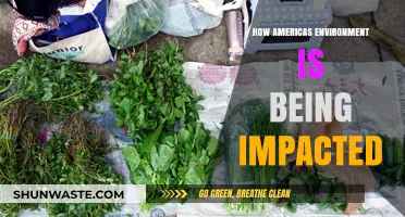 America's Environmental Crisis: Threats, Impacts, and Urgent Solutions Needed