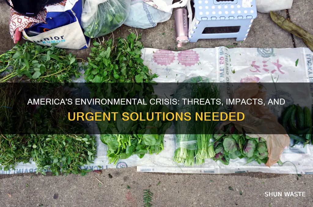 how americas environment is being impacted