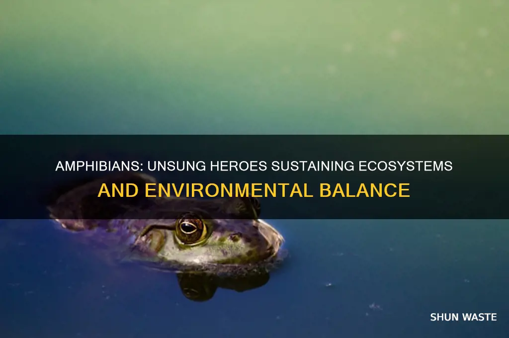 how amphibians help the environment