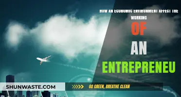 Economic Landscapes: Shaping Entrepreneurial Strategies and Business Outcomes