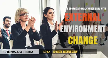 Adapting to Change: Strategies for Organizational Resilience in Dynamic Environments