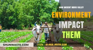 Indus Valley Civilization: Shaping Lives Through Ancient Environmental Influences