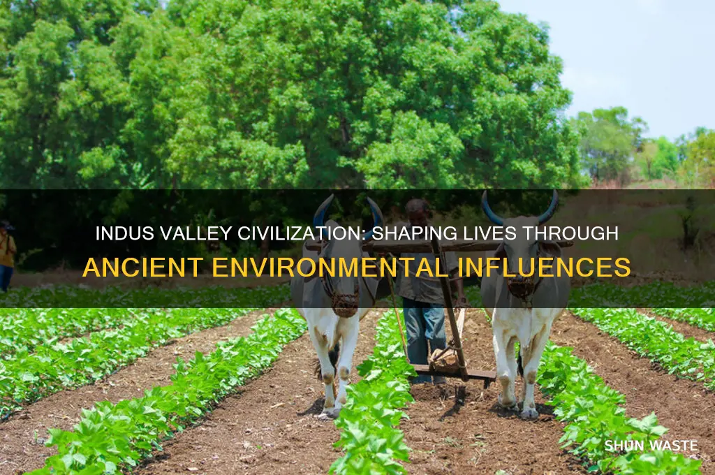 how ancient indus valley environment impact them
