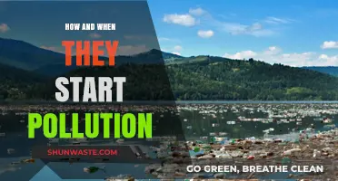 The Start of Pollution: A Historical Perspective