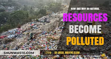 Natural Resources: Pollution's Causes and Impacts