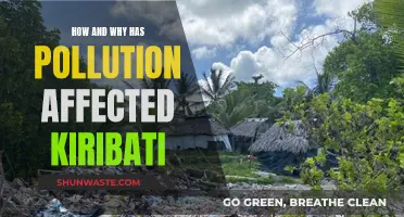 Kiribati's Pollution Crisis: Impact and Causes Explained