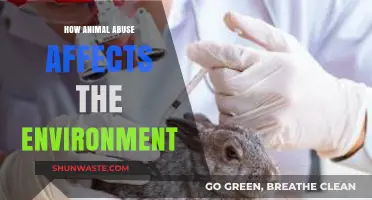 Animal Cruelty's Hidden Impact: Environmental Consequences of Abuse