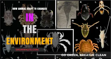 Surviving Shifts: How Animals Adapt to Environmental Changes
