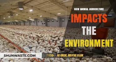 Animal Agriculture's Environmental Impact: A Critical Look at the Costs