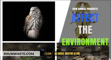 Animal Products' Environmental Impact: Uncovering the Hidden Costs of Consumption