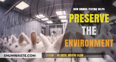 Animal Testing's Role in Safeguarding Our Environment and Ecosystems