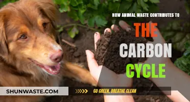 Animal Waste's Role in Driving the Earth's Carbon Cycle