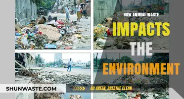 Animal Waste's Environmental Impact: Pollution, Climate Change, and Ecosystem Disruption