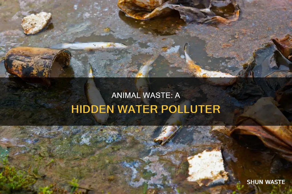 how animal waste pollutes water