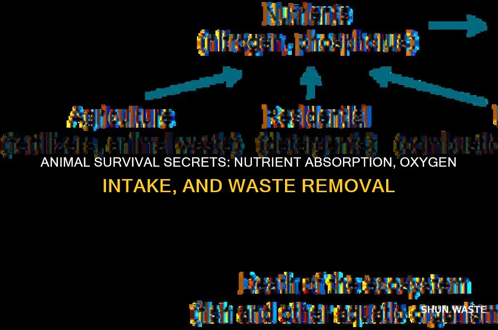 how animals get nutrients and oxygen and eliminate wastes