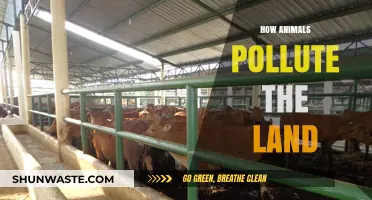 Animals' Pollution: The Unseen Impact on Our Land