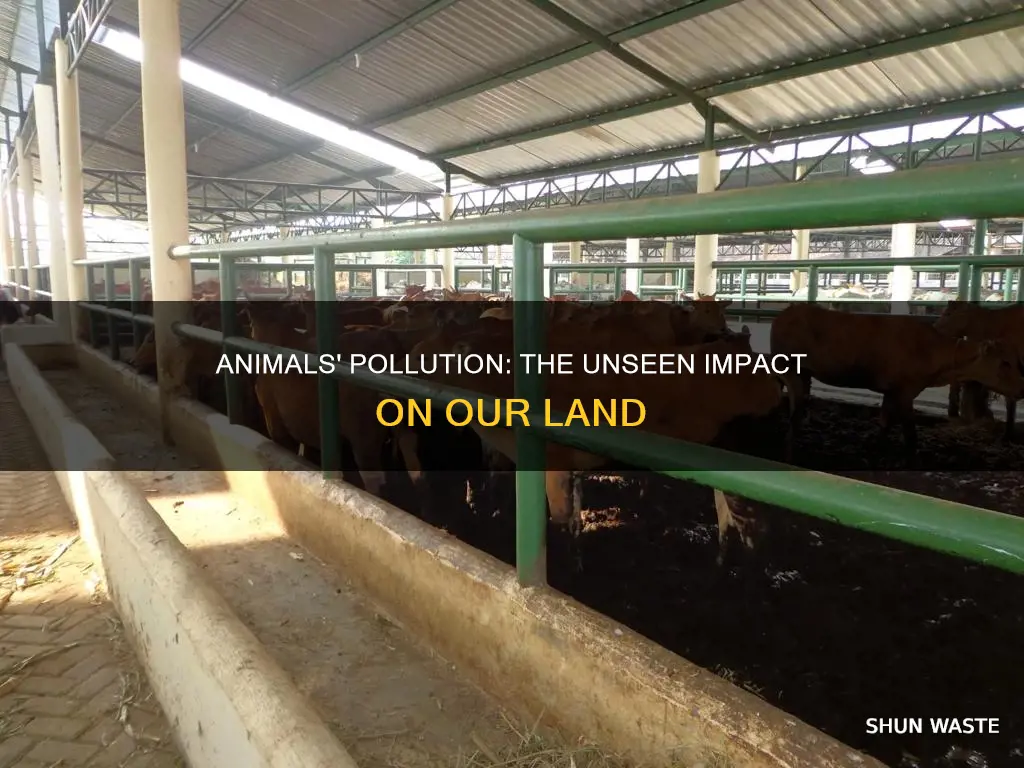 how animals pollute the land