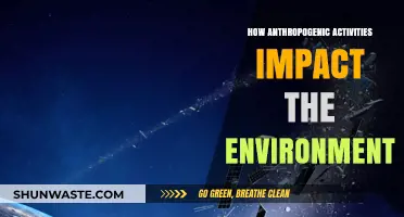 Human Actions, Environmental Consequences: Unraveling Anthropogenic Impacts on Our Planet