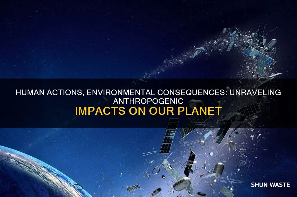 how anthropogenic activities impact the environment