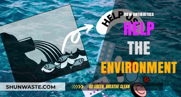 Antibiotics' Surprising Role in Protecting Our Environment and Ecosystems