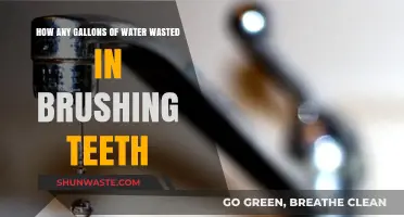 Stop the Flow: How Brushing Teeth Wastes Gallons of Water Daily
