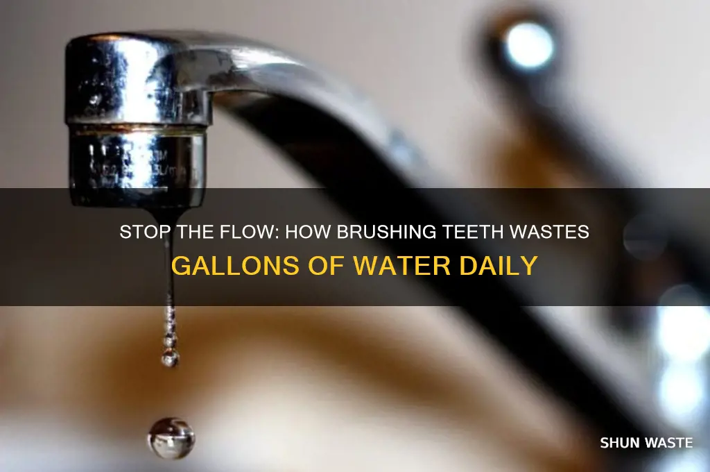 how any gallons of water wasted in brushing teeth