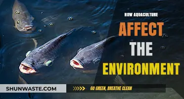 Aquaculture's Environmental Impact: Balancing Food Production and Ecosystem Health