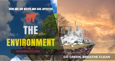Environmental Impacts: How Air, Water, and Soil Are Affected
