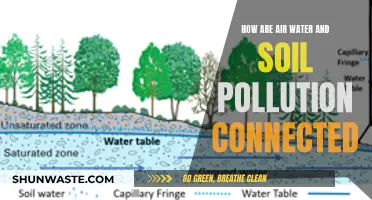 Unveiling the Web of Pollution: Air, Water, and Soil Interconnected Hazards