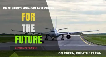 Airports' Strategies to Combat Noise Pollution