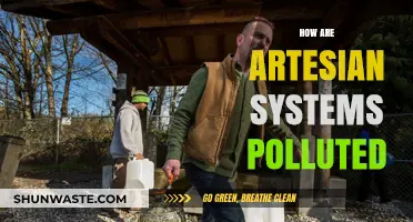 Artesian Systems: Pollution and Protection