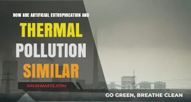 Artificial Eutrophication and Thermal Pollution: Similar Ecological Threats