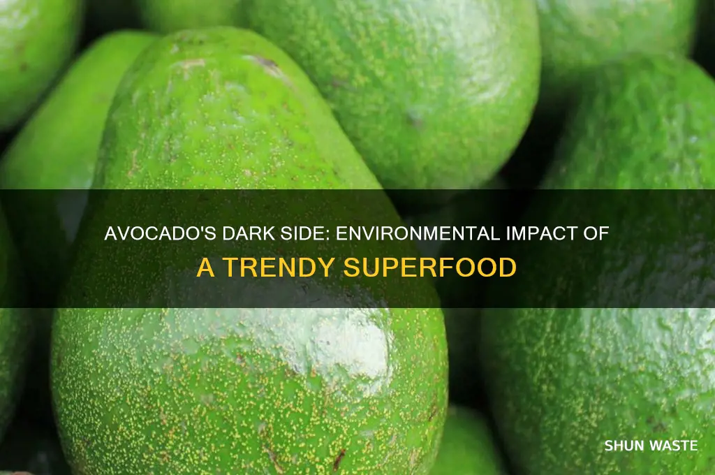 how are avocados bad for the environment