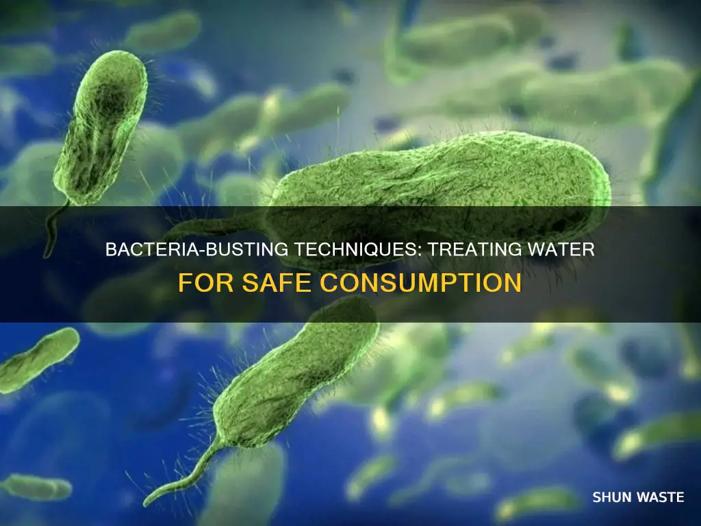 how are bacteria killed in water pollution