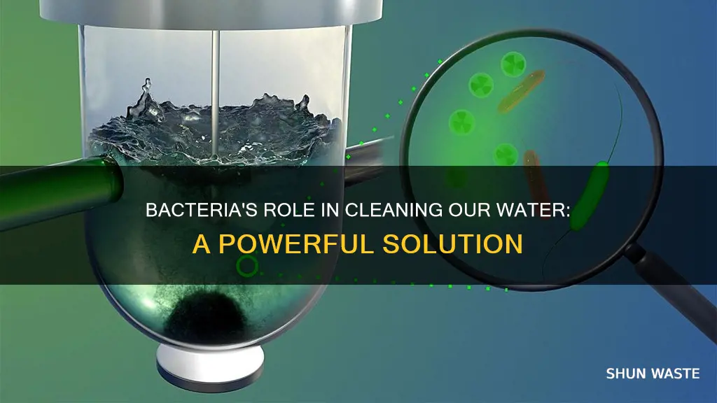 how are bacteria used to control water pollution