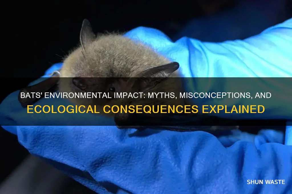how are bats bad for the environment