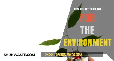 The Hidden Environmental Costs of Battery Production and Disposal