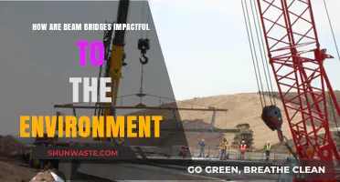 Environmental Impact of Beam Bridges: Sustainable Infrastructure and Ecosystem Effects