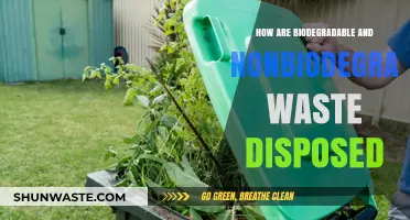 Eco-Friendly Disposal: Biodegradable vs. Nonbiodegradable Waste Management Explained