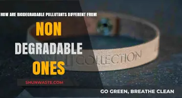 Biodegradable vs Non-Degradable: What's the Real Difference?