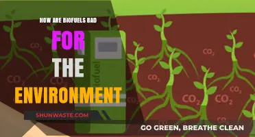Biofuels' Hidden Costs: Environmental Impacts and Sustainability Concerns